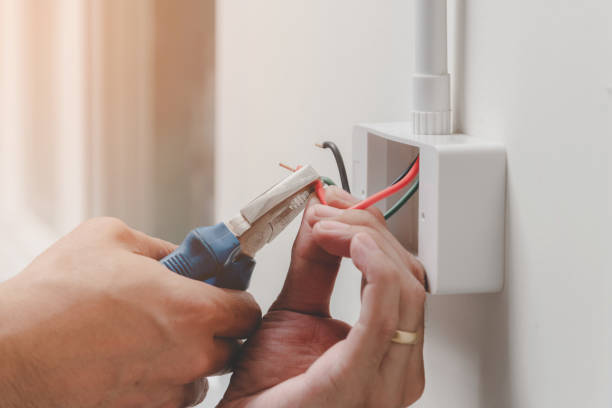 Best Smoke and Carbon Monoxide Detector Installation  in Rainbow Springs, FL